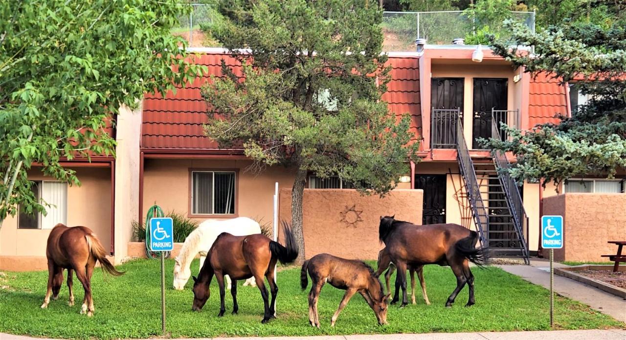 Pinecliff Village Resort Hollywood ภายนอก รูปภาพ